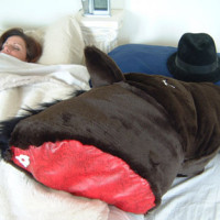 Horse Head Pillow