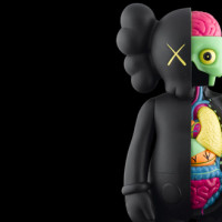 kaws1