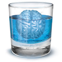 d29b_brain_freeze_ice_cube_molds_inglass