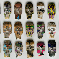 skateskulls