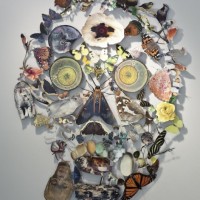 Jenn_Murphy_Butterfly_Skull2010_47x2822-471x613