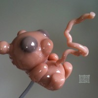 bearfetus_freeny