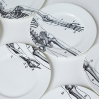 skeleton-plates-01