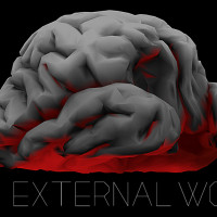 EXTW_BRAIN