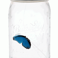 e70c_electronic_butterfly_in_a_jar_anim