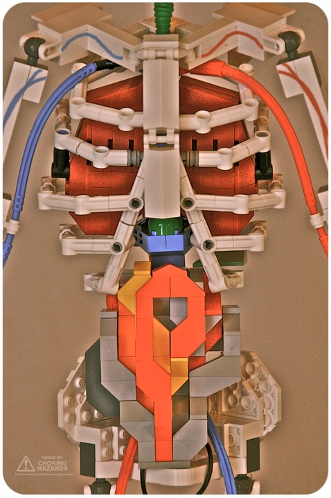 Clay Morrow LEGO skeleton organs