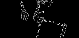 SkeletonTypogram_AaronKuehn_1080-698x1024