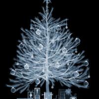 christmas-xray