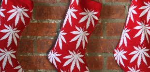 huf_plantlife_stocking_xmas_1024