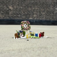 Bug_Memorial_1