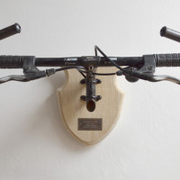 Bicycle Taxidermy