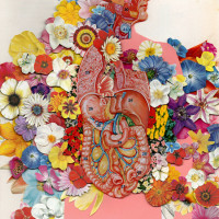 anatomical collage