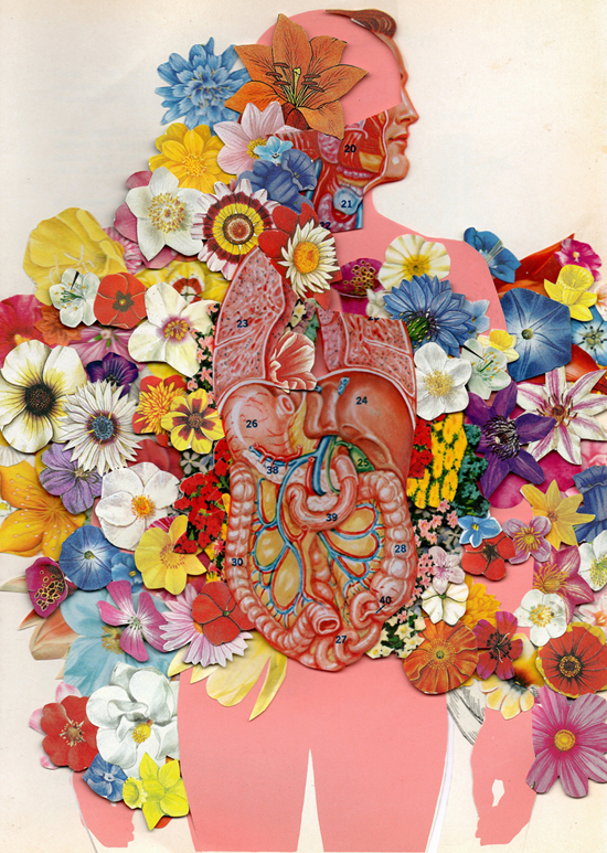 anatomical collage