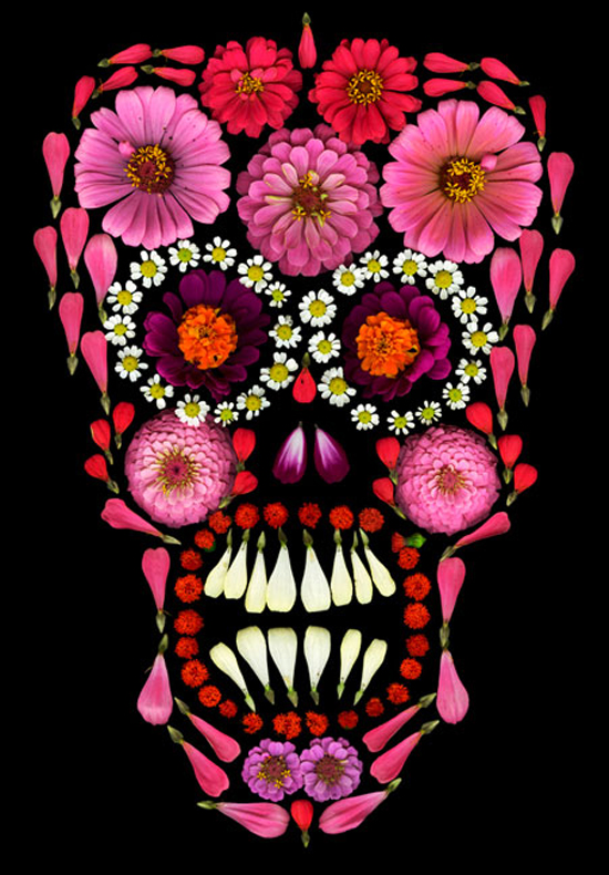 skull flower_01