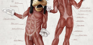 goofy_s_anatomy_by_alessandroconti-d5swrox