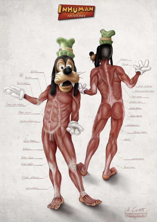 goofy_s_anatomy_by_alessandroconti-d5swrox