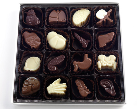 Anatomically Correct Chocolates 16 piece