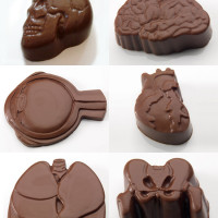 Anatomically Correct Chocolates