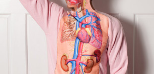 Body Anatomy Science Teacher