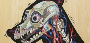 nychos