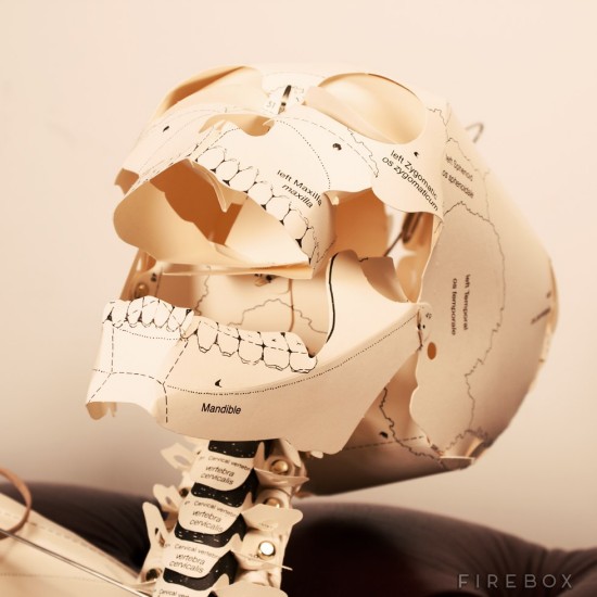 PAPER SKELETON 04