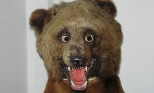 bad-taxidermy-07.jpg