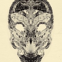 Anacridium_skull-etude-no1-600x825.jpg