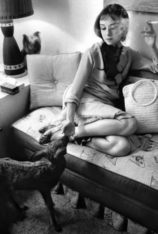 Audrey Hepburn and Pippin