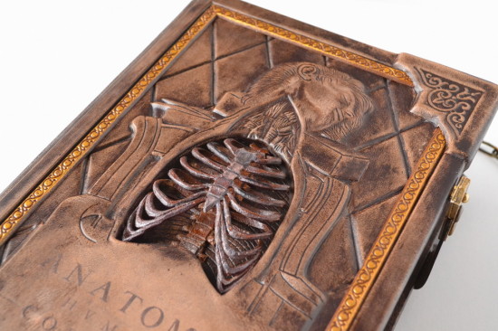 anatomybook4